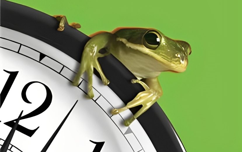 چرا قورباغه قورت بدم؟